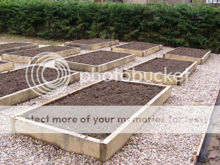 Professional Guide to Building Raised Garden Beds | ArticleCube